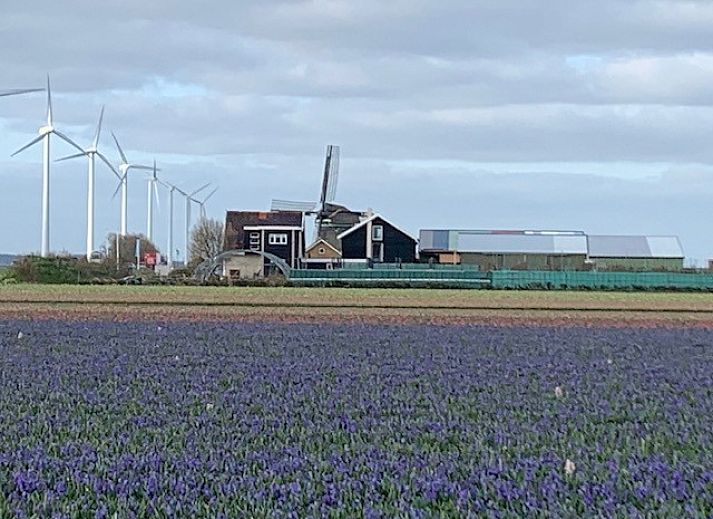 Guest house 480167 - Apartment Noordzeekust - De oude Paardenstal