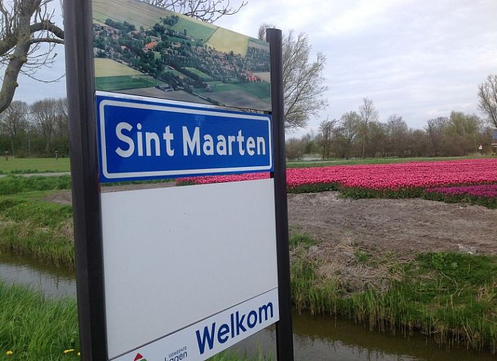 Geniessen Sie die sonnige Terrasse im Ferienhaus Maike, einem gemuetlichen Ferienhaus an der Nordseekueste in Nordholland.