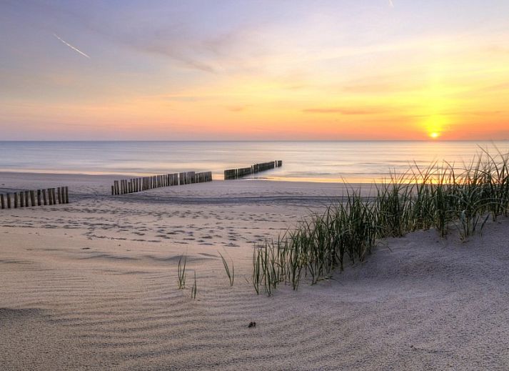 Guest house 480178 - Apartment Noord-Holland noord - 't Koedijker Nest