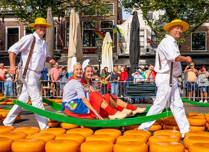 Guest house 480178 - Apartment Noord-Holland noord - 't Koedijker Nest