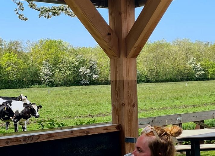 Open keuken en slaapgedeelte in Huisje in Oudesluis, vakantiehuis in Noord-Holland met landelijke inrichting.