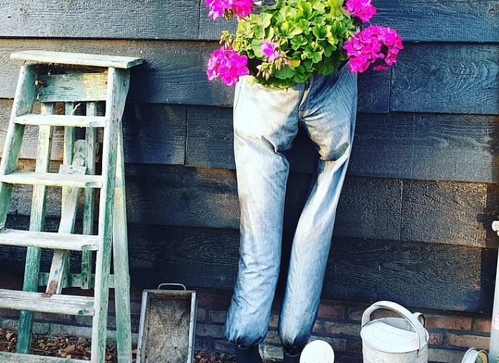 Keukenkast met glazen en servies in Huisje in Oudesluis, vakantiehuis in Noord-Holland, perfect voor een comfortabel verblijf.