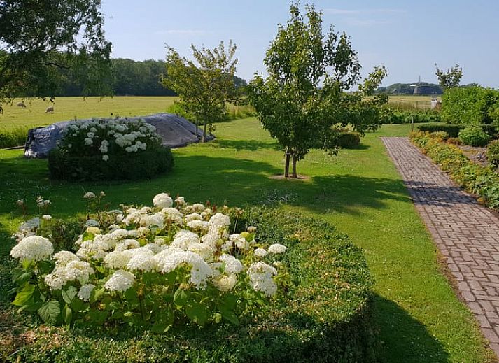 Relaxed reading by the window overlooking nature at Holiday Home in Oudesluis, North Holland.