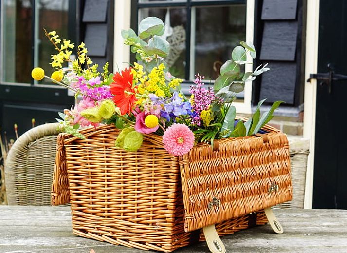 Relaxed reading by the window overlooking nature at Holiday Home in Oudesluis, North Holland.