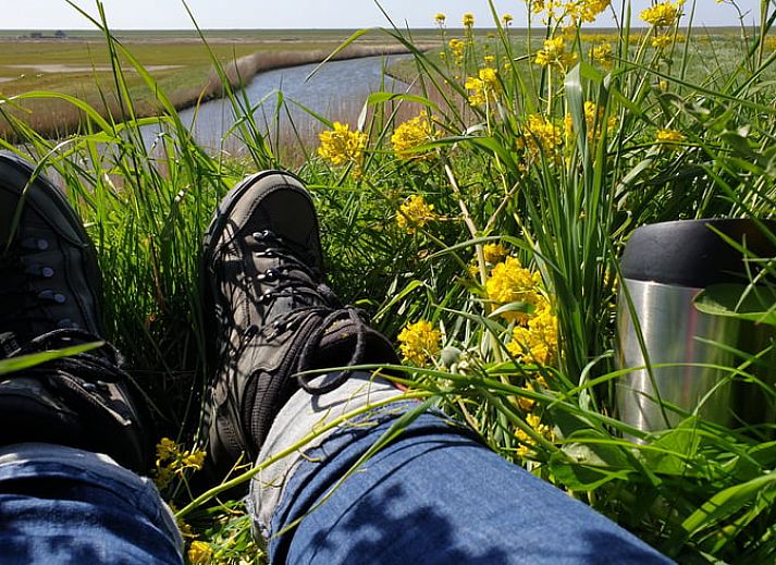 Fully equipped kitchen in Holiday home in Oudesluis, North Holland, ideal for culinary adventures.