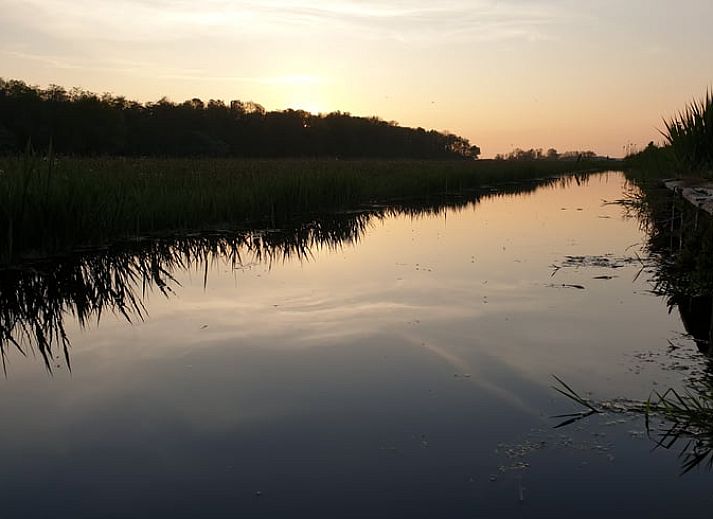 Stylish purple mugs in the kitchen of Holiday Home in Oudesluis, North Holland.