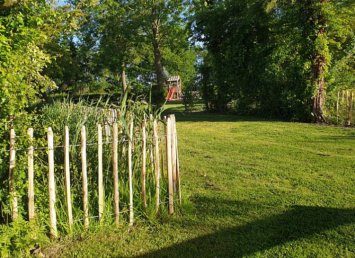 Stylish purple mugs in the kitchen of Holiday Home in Oudesluis, North Holland.