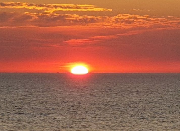Stylish purple mugs in the kitchen of Holiday Home in Oudesluis, North Holland.
