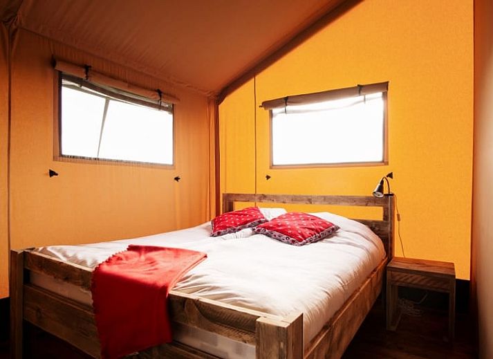 Guest house 480319 - Tent house Noord-Holland noord - Safaritent