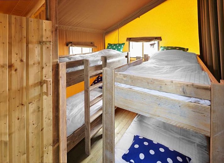 Guest house 480319 - Tent house Noord-Holland noord - Safaritent