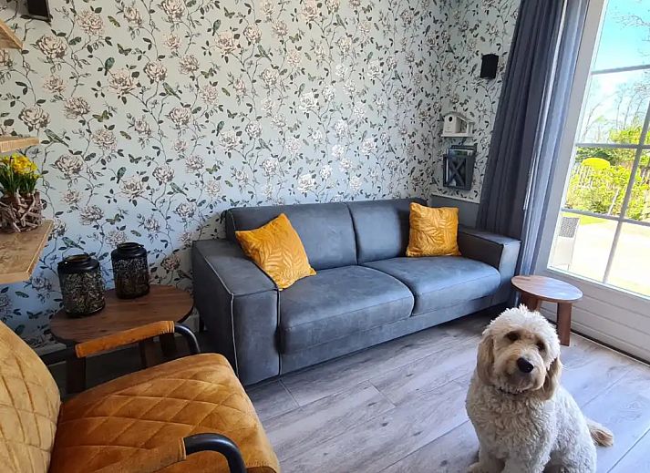 Verblijf 480337 - Appartement Noord-Holland noord - Bullekroffie Appartement Roodbont