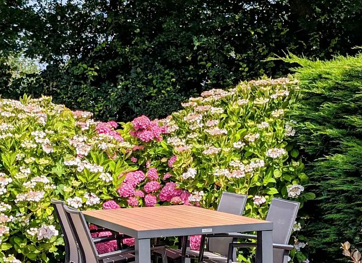 Verblijf 480337 - Appartement Noord-Holland noord - Bullekroffie Appartement Roodbont