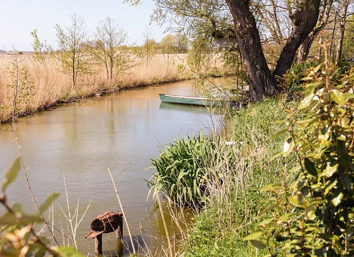 Guest house 480705 - Holiday property Noord-Holland noord - Vakantiehuisje in Barsingerhorn