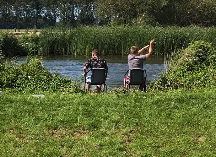 Verblijf 480805 - Vakantiewoning Noord-Holland noord - Vakantiehuis in Nieuwe Niedorp