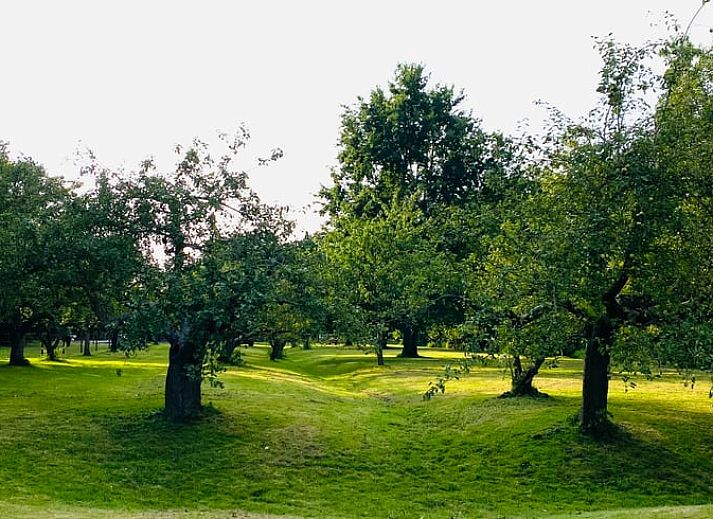 Unterkunft 480810 - Ferienhaus Noord-Holland noord - Vakantiehuis in Nieuwe Niedorp
