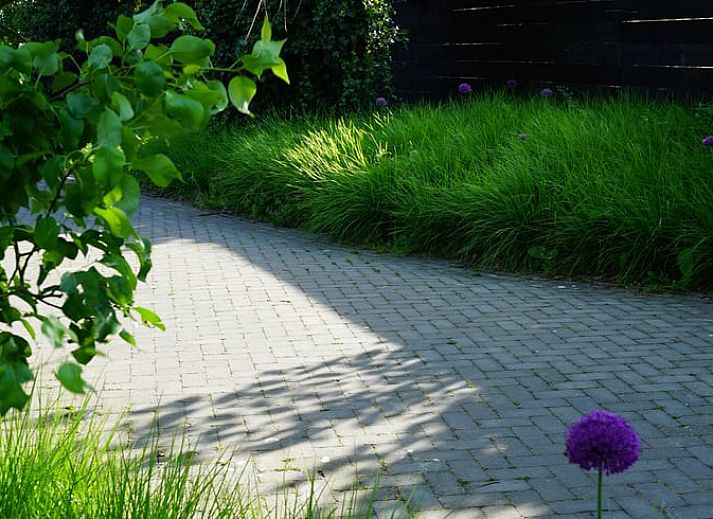 Unterkunft 480810 - Ferienhaus Noord-Holland noord - Vakantiehuis in Nieuwe Niedorp