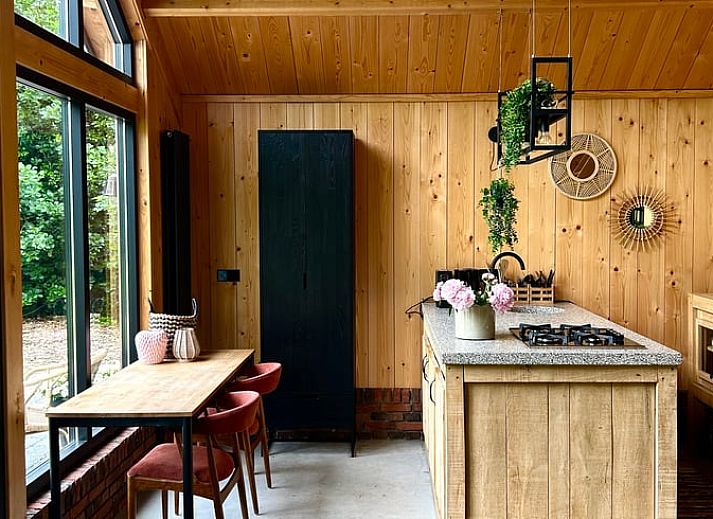 Unterkunft 480810 - Ferienhaus Noord-Holland noord - Vakantiehuis in Nieuwe Niedorp
