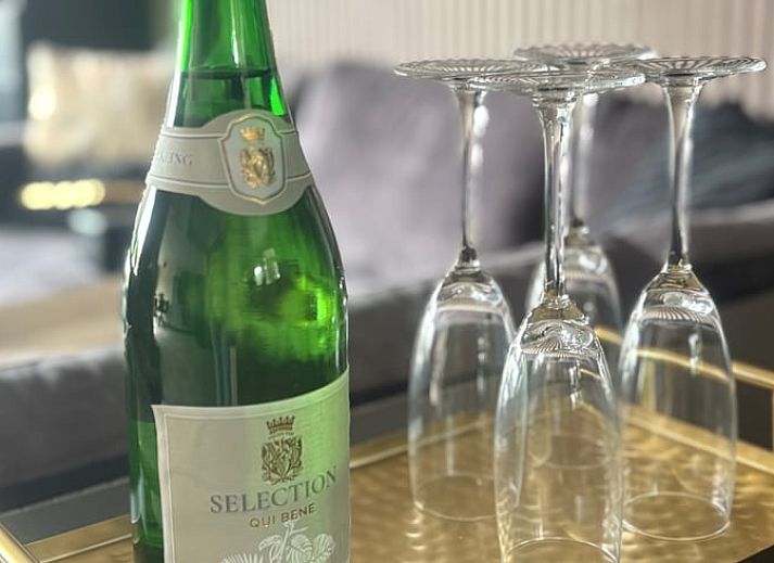 Vogelperspectief op Vakantiehuisje in Nieuwe Niedorp, een idyllische vakantiewoning in Noord-Holland noord.