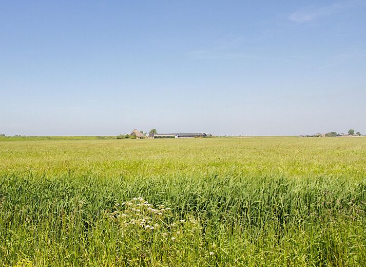 Verblijf 481107 - Vakantiewoning Noord-Holland noord - Appartement Dijkzicht