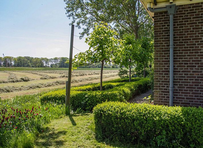 Verblijf 481108 - Vakantiewoning Noord-Holland noord - Appartement Rustiek