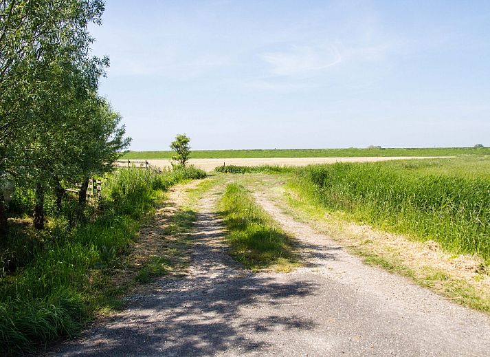 Guest house 481108 - Holiday property Noord-Holland noord - Appartement Rustiek