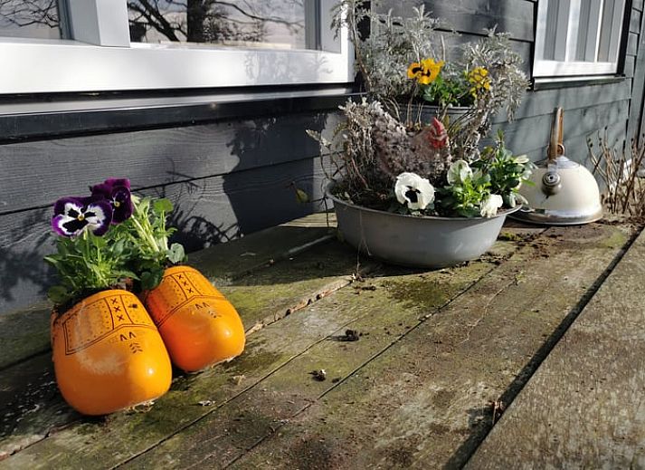 Verblijf 481111 - Vakantiewoning Noord-Holland noord - Vakantiehuisje in Schagen