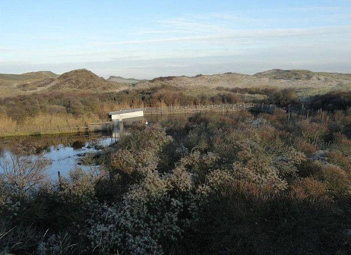 Verblijf 481501 - Vakantiewoning Noord-Holland noord - 62134