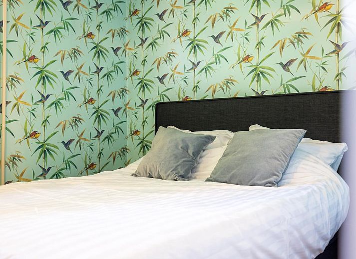 Guest house 482003 - Holiday property Noord-Holland noord - Kolibrie