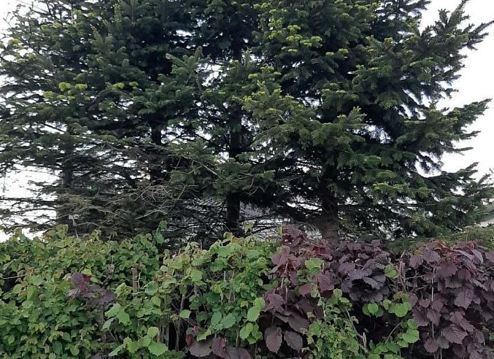 Verblijf 482013 - Vakantiewoning Noord-Holland noord - Vakantiehuis Gemütliches Ferienhaus