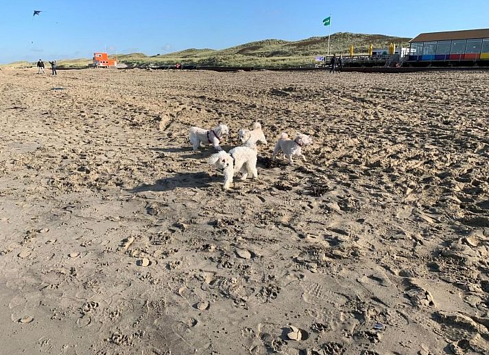 Verblijf 482016 - Vakantiewoning Noord-Holland noord - Vakantiehuis in Dirkshorn