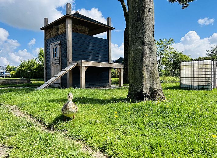 Unterkunft 482021 - Ferienhaus Noord-Holland noord - Vakantiehuis Bungalowpark de Horn - Floresta 214