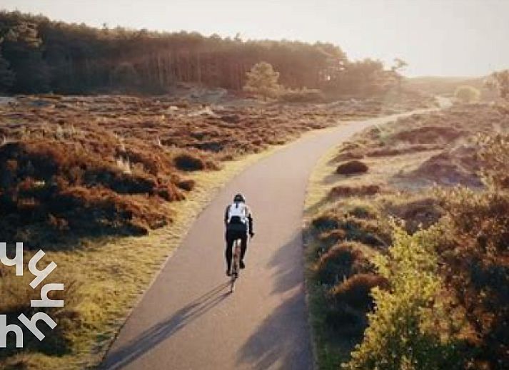 Decoratieve pompoenen bij NH495 vakantiehuis in Sint-Pancras, Noord-Holland.