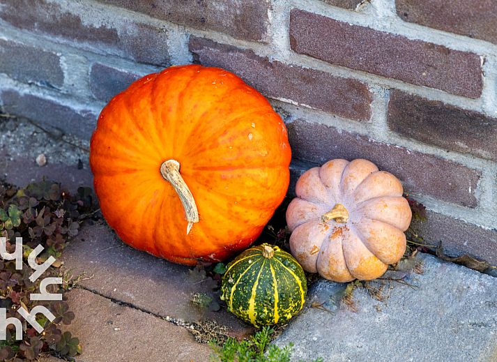 Moderne keuken in NH495 vakantiehuis, Sint-Pancras, Noord-Holland.
