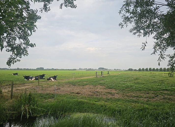 Vacation home in Hoogwoud, North Holland North, overlooking the modern architecture of the vacation home.