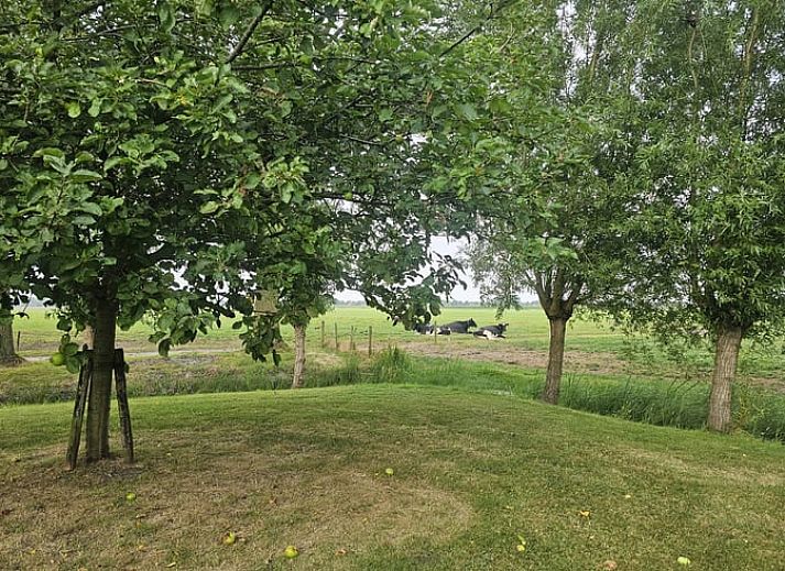 Vacation home in Hoogwoud, North Holland North, overlooking the modern architecture of the vacation home.