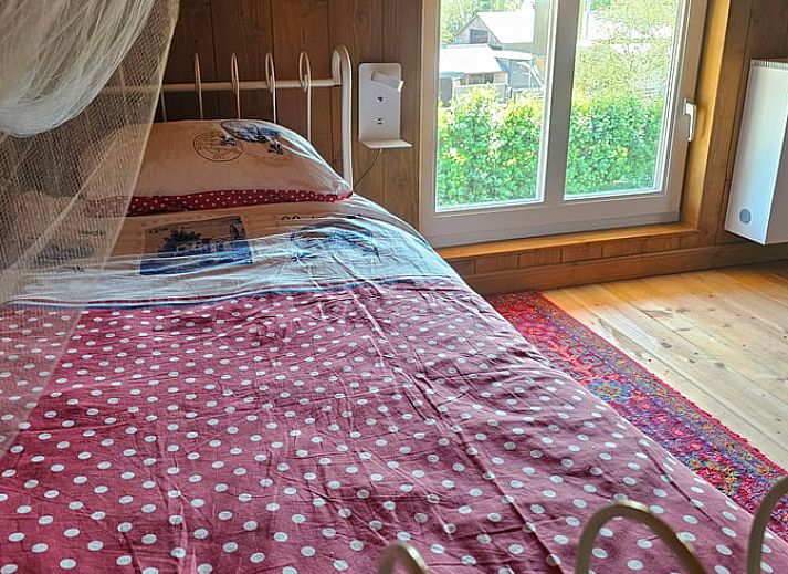 Quiet surroundings of Holiday home in Hoogwoud, North Holland north, with grazing cows in lush fields.