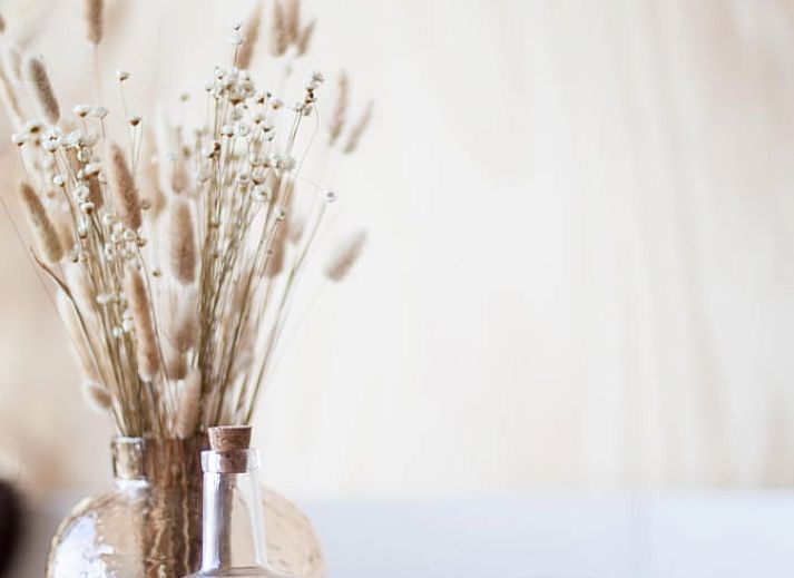 Guest house 483006 - Holiday property Noord-Holland noord - Vakantiehuisje in 't Zand