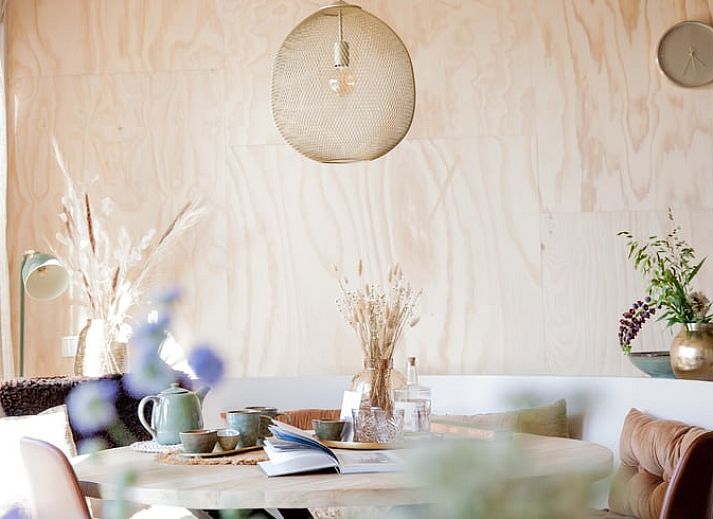 Guest house 483006 - Holiday property Noord-Holland noord - Vakantiehuisje in 't Zand