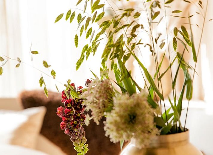 Guest house 483006 - Holiday property Noord-Holland noord - Vakantiehuisje in 't Zand