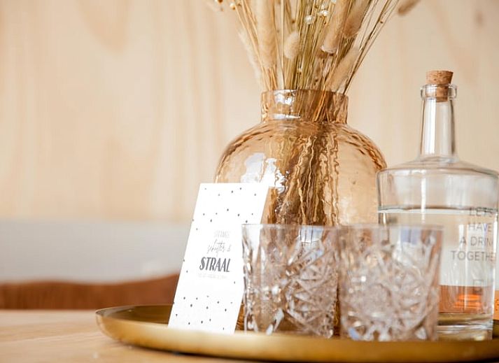 Guest house 483006 - Holiday property Noord-Holland noord - Vakantiehuisje in 't Zand