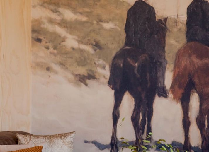 Guest house 483006 - Holiday property Noord-Holland noord - Vakantiehuisje in 't Zand