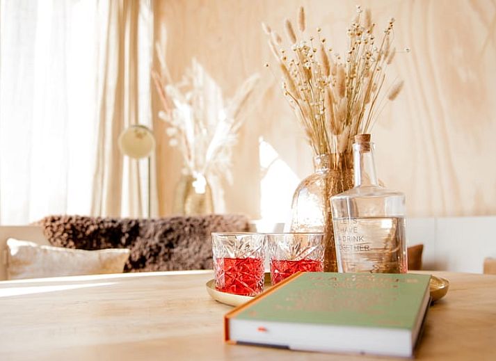 Guest house 483006 - Holiday property Noord-Holland noord - Vakantiehuisje in 't Zand