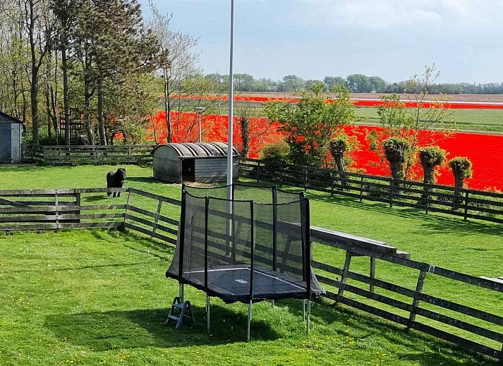 Green surroundings at vacation home NH351 in 't Zand, North Holland with playground for children.