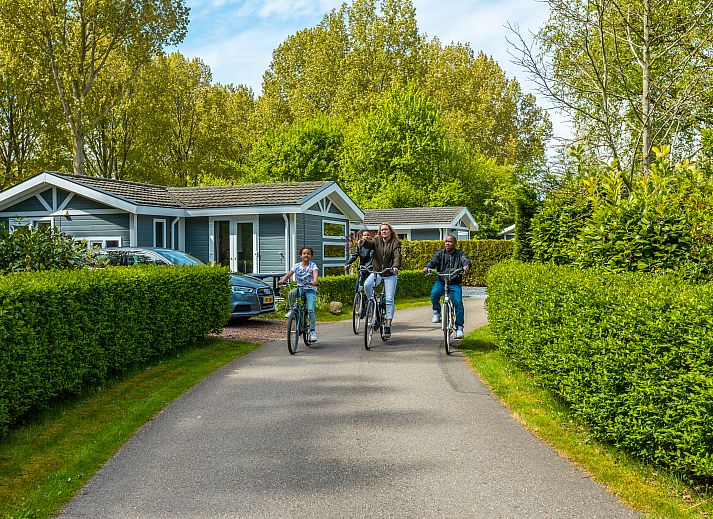 Verblijf 483703 - Vakantiewoning Noord-Holland noord - EuroParcs Molengroet