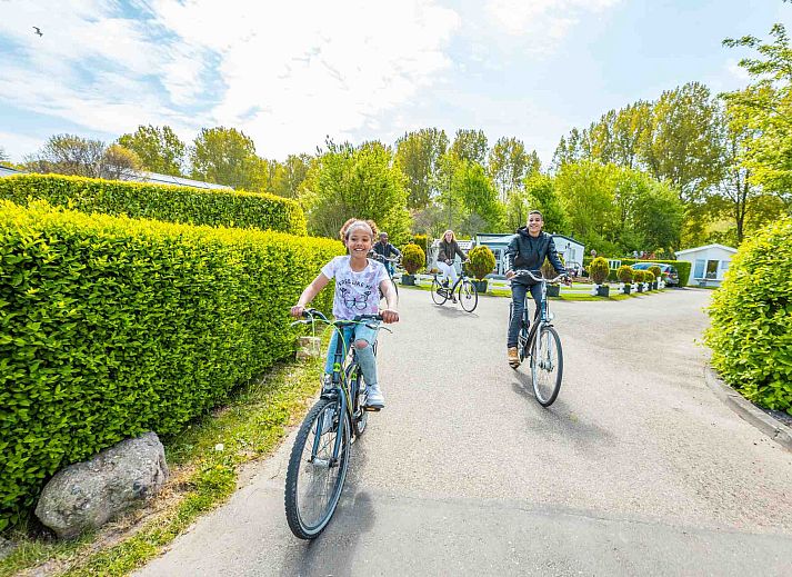 Verblijf 483703 - Vakantiewoning Noord-Holland noord - EuroParcs Molengroet