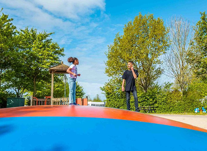 Verblijf 483703 - Vakantiewoning Noord-Holland noord - EuroParcs Molengroet