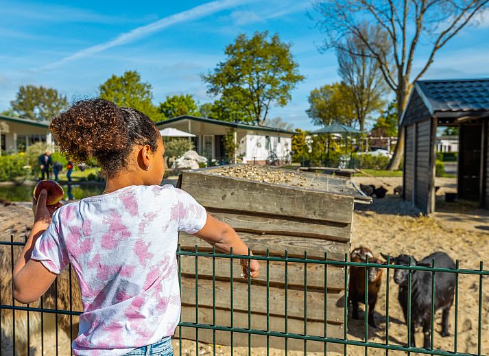 Verblijf 483703 - Vakantiewoning Noord-Holland noord - EuroParcs Molengroet