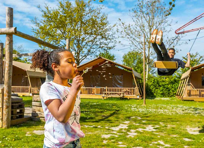 Verblijf 483703 - Vakantiewoning Noord-Holland noord - EuroParcs Molengroet