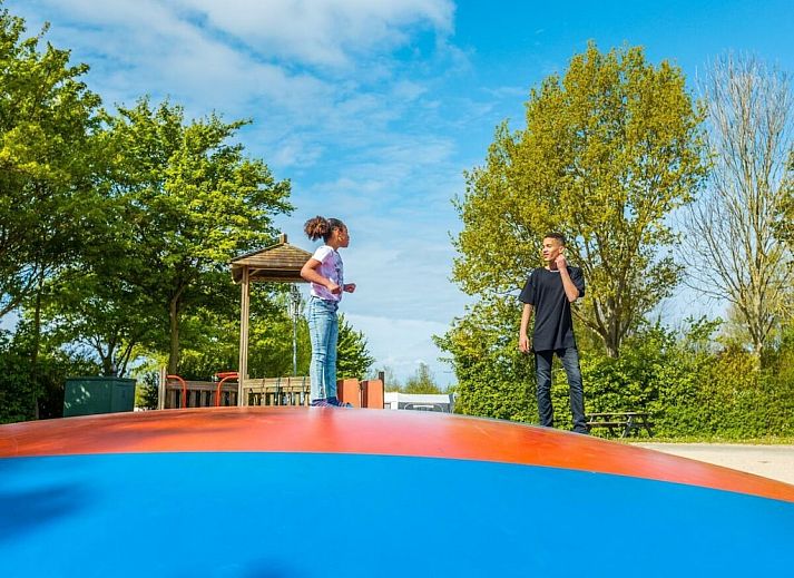 Unterkunft 483713 - Ferienhaus Noord-Holland noord - 781225