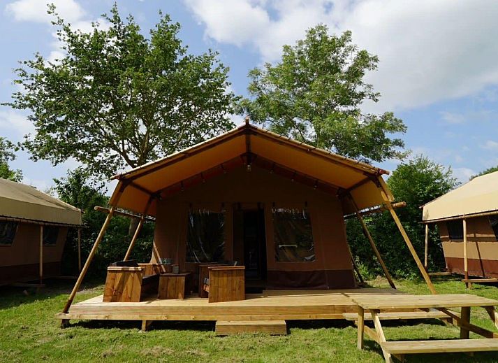 Unterkunft 483726 • Ferienhaus Noord-Holland noord • Glampingtent Desert 4 